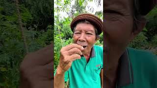 Green Leaves Thrown Away Pillow Eaten mbahbugel short viral fyp entertainment