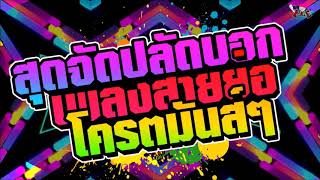สุดจัด ปลัดบอก บิดหมดปลอก ปลัดบอกสุดจิง By [DjPPThailandRemix]