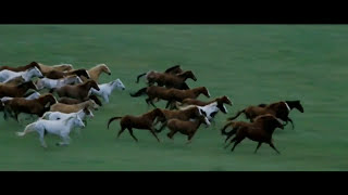 Rossini: William Tell Overture: Final with Horse Run
