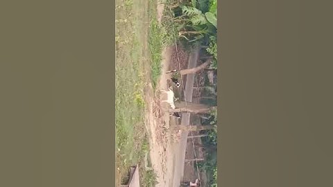 Thumbnail of Mera Desh Jannaton sa