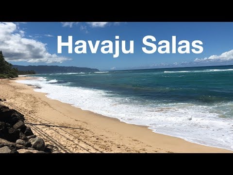 Video: 5 Skaistas Sugas, Kuras Varat Atrast Tikai Havaju Salās, Un Kā Tām Palīdzēt Zelt - Matador Network