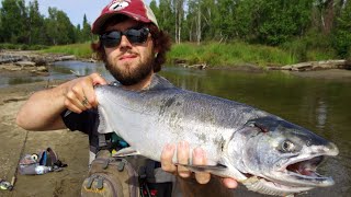 Willow Creek Salmon Fishing || Fly Fishing in ALASKA