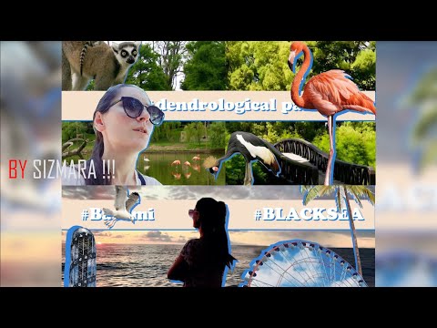 SUMMER 2020 : EP 2 - Dendrological park - Batumi - mosquitoes  [ENG SUB] - ბათუმელი კოღოები