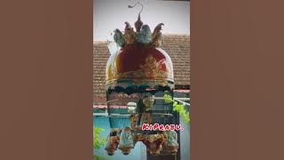 PERKUTUT WGG / Widhaksana Gosta Gasti / Perkutut Dengan Suara Kasta Tertinggi.
