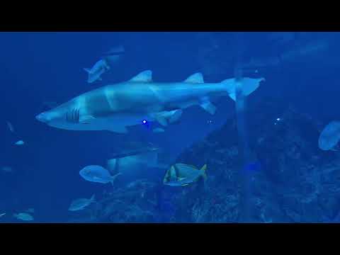 This is so true😂🤣