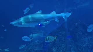 Httpsyoutube8oeyz6tbbgssi3m0pgw8vb4tnsatq