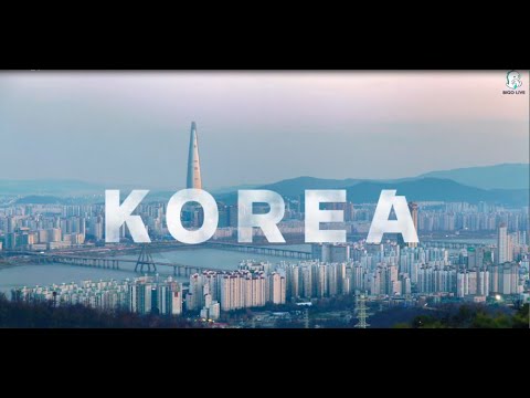 BIGO LIVE Korea - 비고라이브와 함께 집콕 바캉스 🏖️ 🌴 (feat. 전국 올리브영 매장)