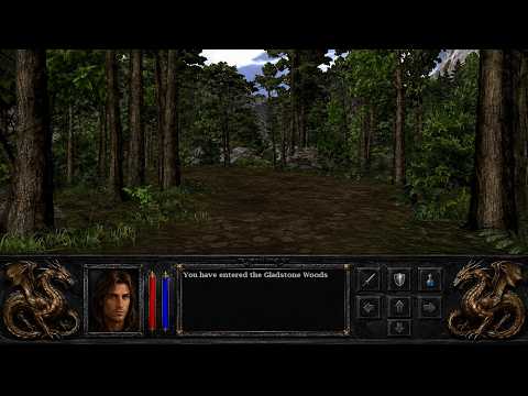 Lands of Lore IV - Gladstone Woods