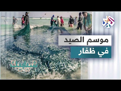 موسم صيد الأسماك في ظفار العمانية إرث ثقافي على وقع أهازيج الآباء والأجداد