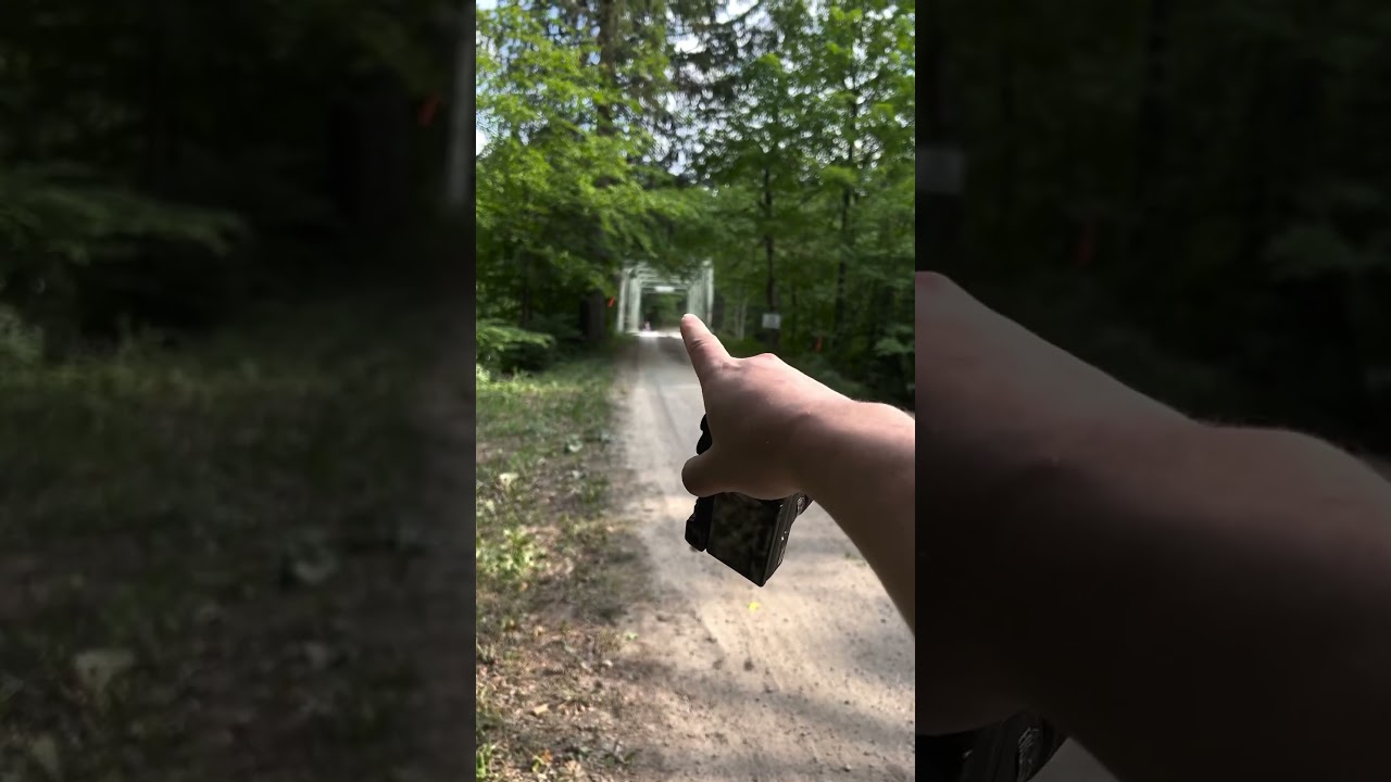 Discovering Hidden Treasures in Pennsylvania: Nature Photography Loyalsock Trail Adventure