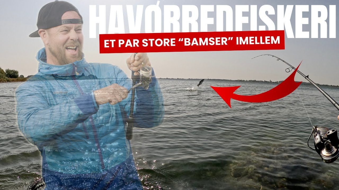 Havørredfiskeri - Et par store 