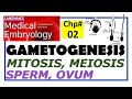 Langman chapter2  gametogenesis  male and female gametes  mitosis  meiosis  embryology