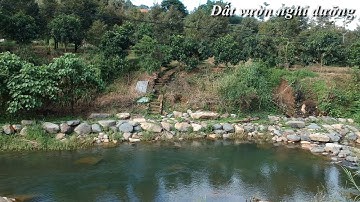 đất mặt tiền quốc lộ 20 view suối gần chân đèo Bảo lộc có thổ cư giá 300tr/m ngang