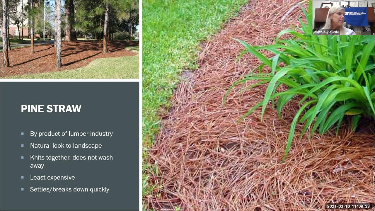Florida Friendly Landscaping Let's Dig Deep Mulch & Attract Wildlife