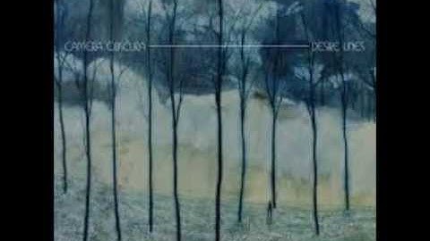 break it to you gently camera obscura