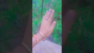 Download Lagu Kya tum mujhase pyar karte ho👌💕 #bollywood #hindisong 🙏 #love 🙏👍 #subscribetomychannel MP3