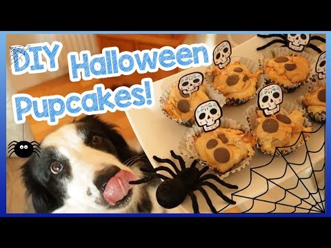 diy-halloween-pupcakes!-|-how-to-make-easy-cupcakes-for-dogs---spooky-halloween-dog-treats!-
</div>
<div class=