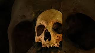 J'ai exploré les Catacombes de Paris et je n'étais pas prête