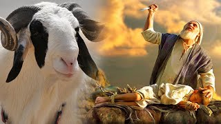 Loutakh Niouye Tabaski | Jeff ☑️