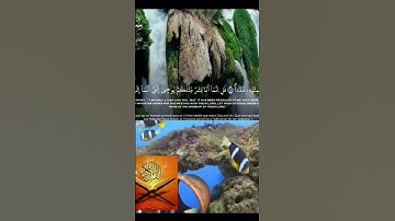 صوت جميل لتلاوة كلام رب العالمين