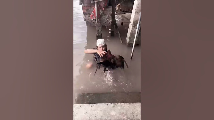 Anh nhớ em chiến kê của anh 😢😢