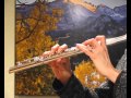 Muramatsu dn flute  comes with b foot and c foot  sound demo 1