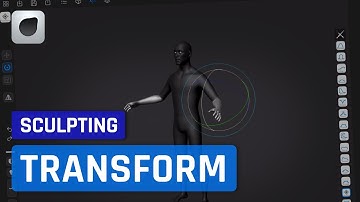 forger iPad - Sculpting - Transforms