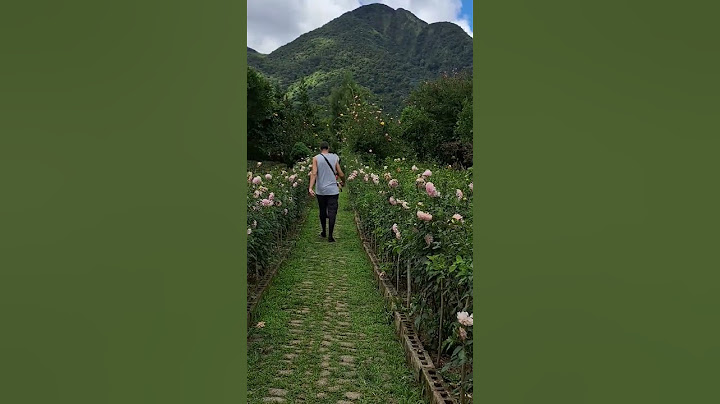 Beautiful Flower Garden in Ormoc| Heavens Peack