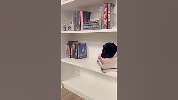 decorating my bookshelves for fall 🍂🧸🤎 #books #aesthetic #organization