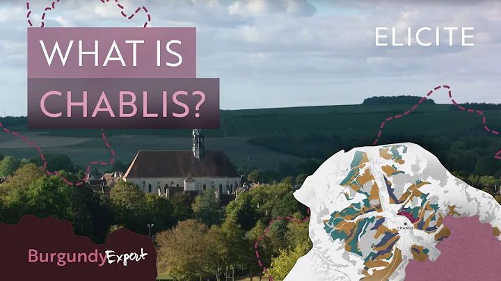 Discover The Chablis Wine Region