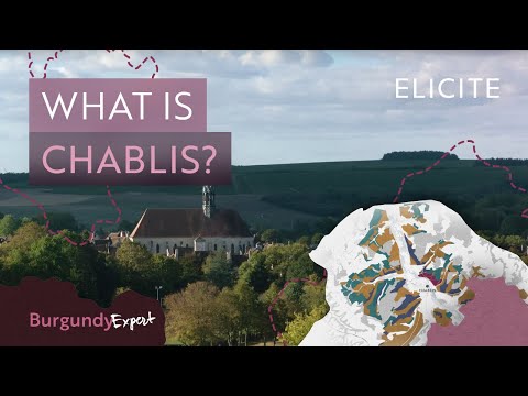 Discover The Chablis Wine Region