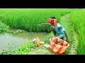 Fishing Video || Talented boy is catching fish with different types of food in the canal of the land