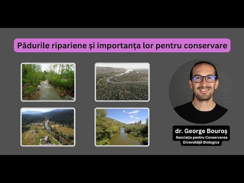 Video: Păsări de pradă cu cap alb: specii, habitat, hrănire și reproducere