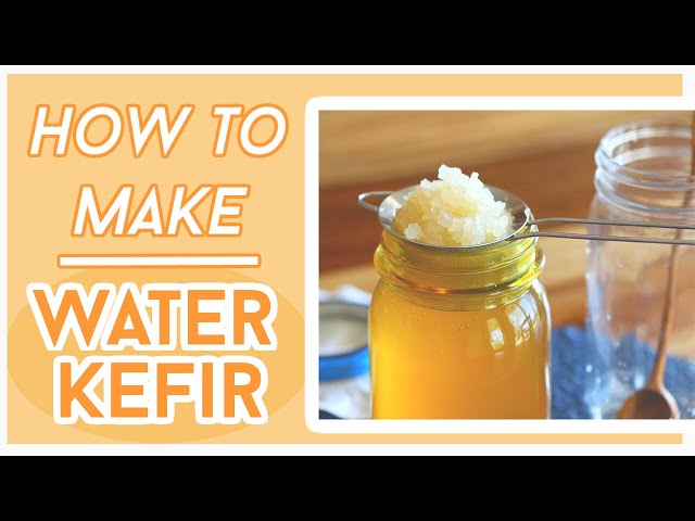 Water Kefir Recipe - Easiest Step-by-Step Method - An Oregon Cottage