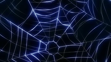 Spider Web|Intro