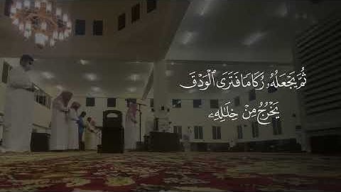 قران كريم بصوت خاشع#quran#ارح_قلبك #تلاوة_خاشعة #تلاوة_هادئة#القارئ وموثر#القران_الكريم_راحه_نفسية