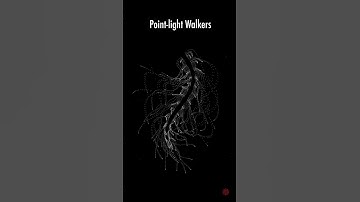 Point Light Walkers #pointlight #art #animation #math #computationalart #biology #light #motion