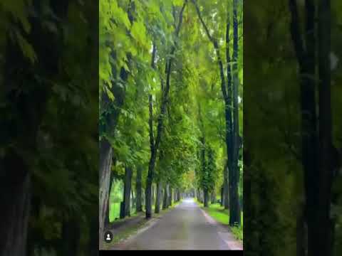 انت مثل العمر عبدالله الرويشد حالات واتس اب 