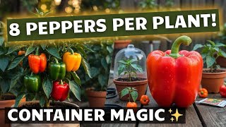 "Grow Bell Peppers from Seed in Containers - 8 Peppers Per Plant (Beginner's Secret!)"