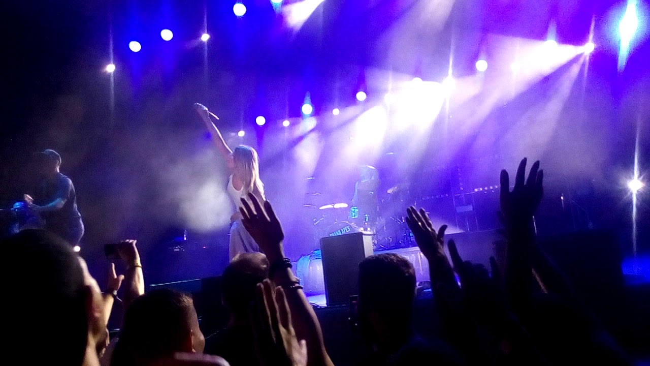 guano apes lords of boards guano apes lords of boards