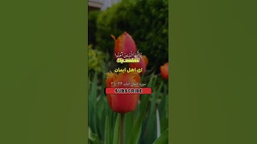 سوره مبارکه انفال آیه 24 الی 25 #ترجمه_قرآن_کریم