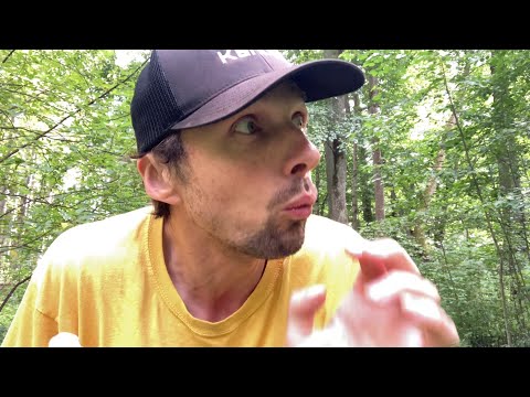 How to touch moss in secret