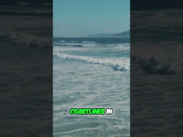 Thousands Lost Their Lives When This Wave Hit #tsunami #disaster