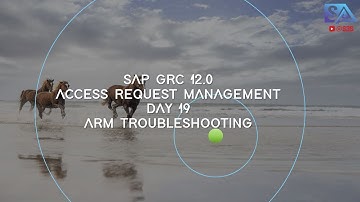 19 - ARM - TROUBLESHOOTING SAP GRC ISSUES