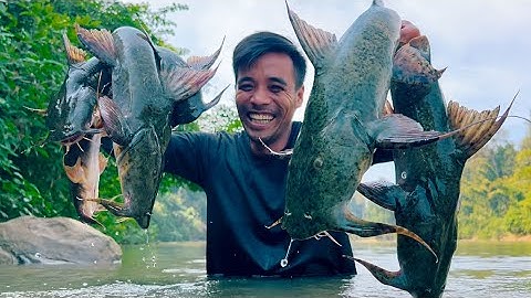 Cục Đá Số 3 Nơi Tập Trung Rất Nhiều Cá Lớn || Fishing Big fish in the jungle