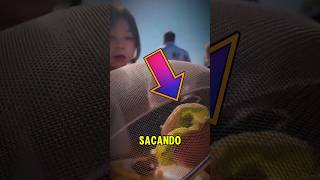 ¡No creerás lo que pasó con mi almuerzo! #shorts