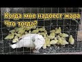 Что делать если надоест жара