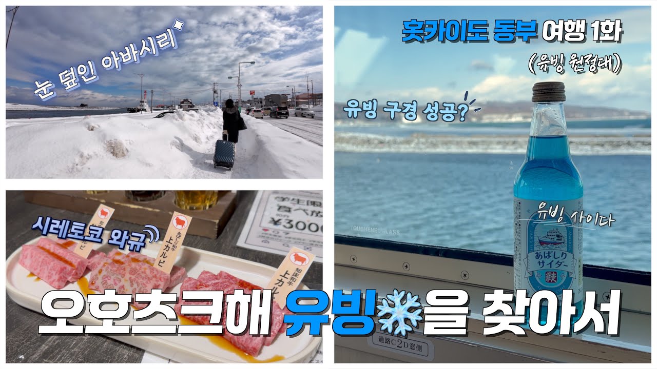 🇯🇵 홋카이도 동부 여행 1화(아바시리) - 오호츠크해 유빙을 찾아서(유빙 원정대) [영캣몬의 여행생활]