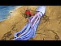 20 Biggest Sea Creatures Ever Found On The Beach