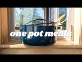 What I Ate: ONE POT MEALS! (very real life)